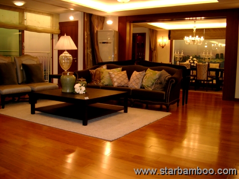 Tiles Design  Living Room on Now  There Are A Few Reasons Bamboo Flooring Is Priced At A Premium